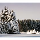 Winter im Erzgebirge I