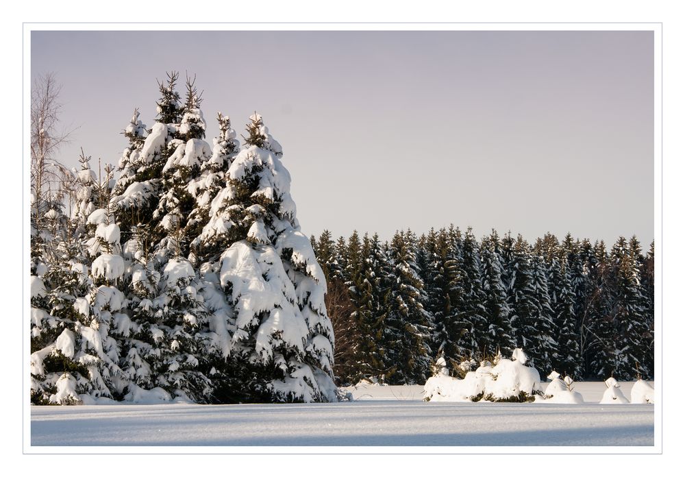 Winter im Erzgebirge I