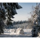 Winter im Erzgebirge II