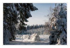 Winter im Erzgebirge II