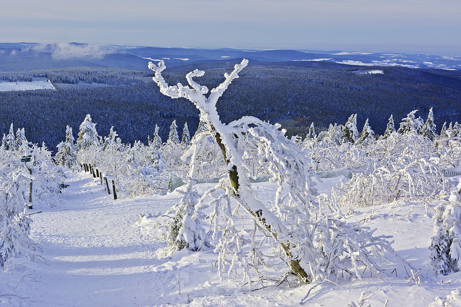 Winter im Erzgebirge III