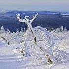 Winter im Erzgebirge III