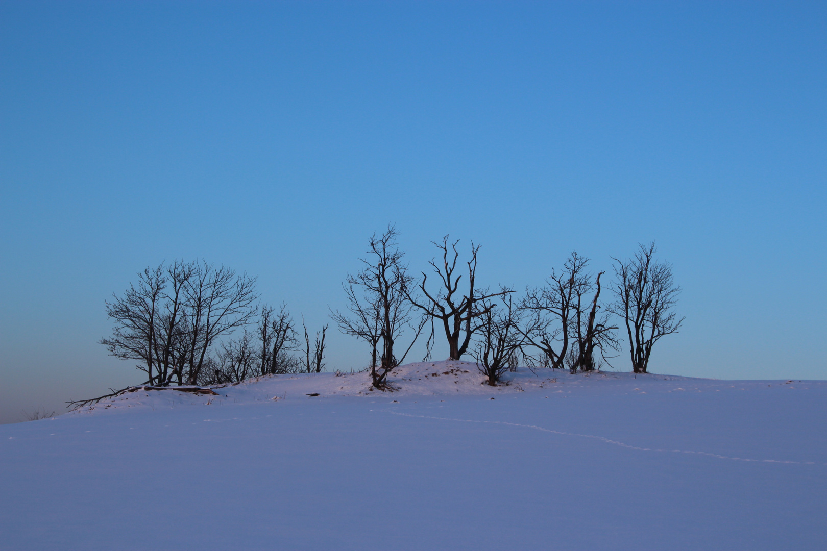 Winter im Erzgebirge Kühnheide