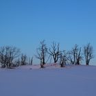 Winter im Erzgebirge Kühnheide