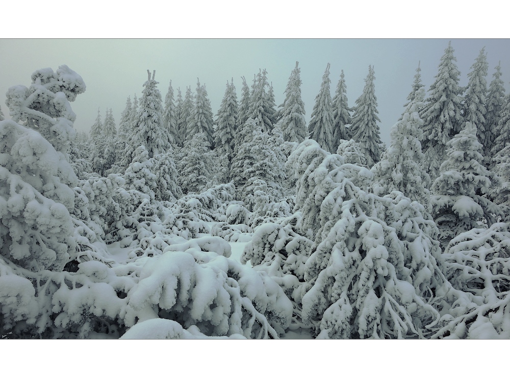 Winter im Erzgebirge (light) ;-)