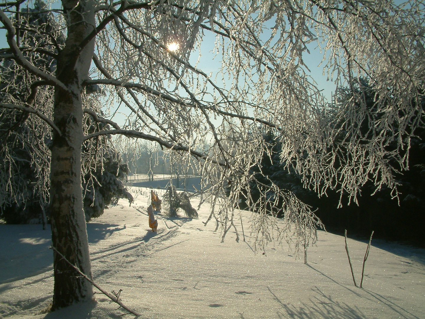 Winter im Erzgebirge/2