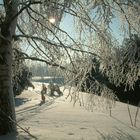Winter im Erzgebirge/2