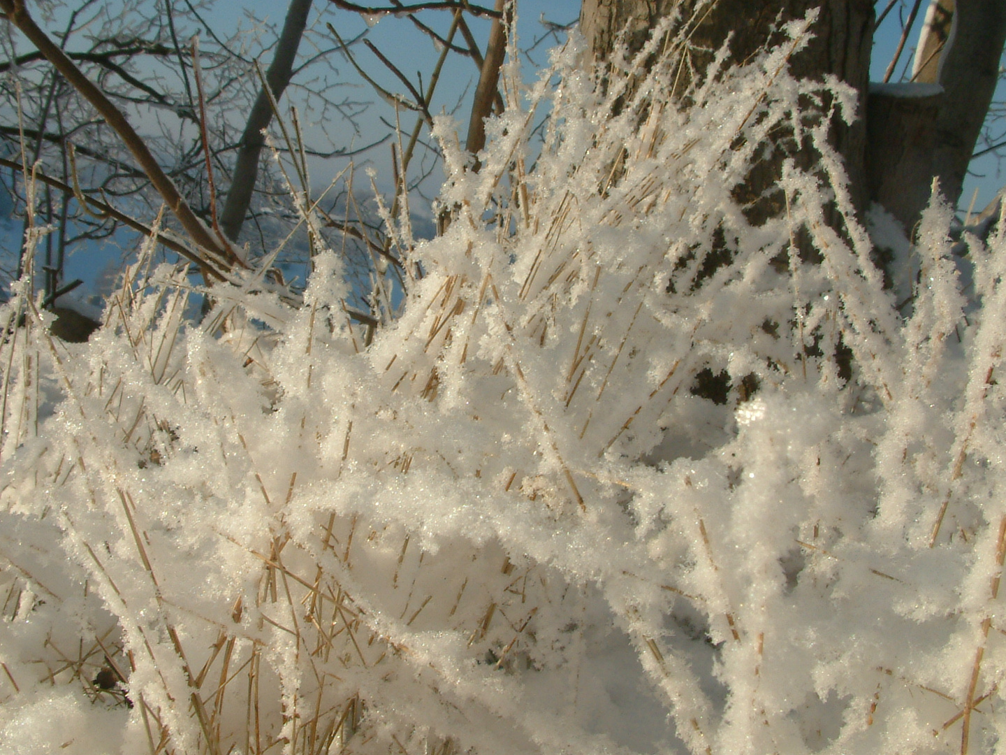 Winter im Erzgebirge/3