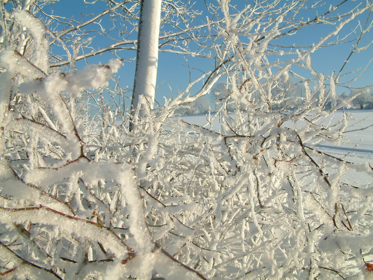 Winter im Erzgebirge/4