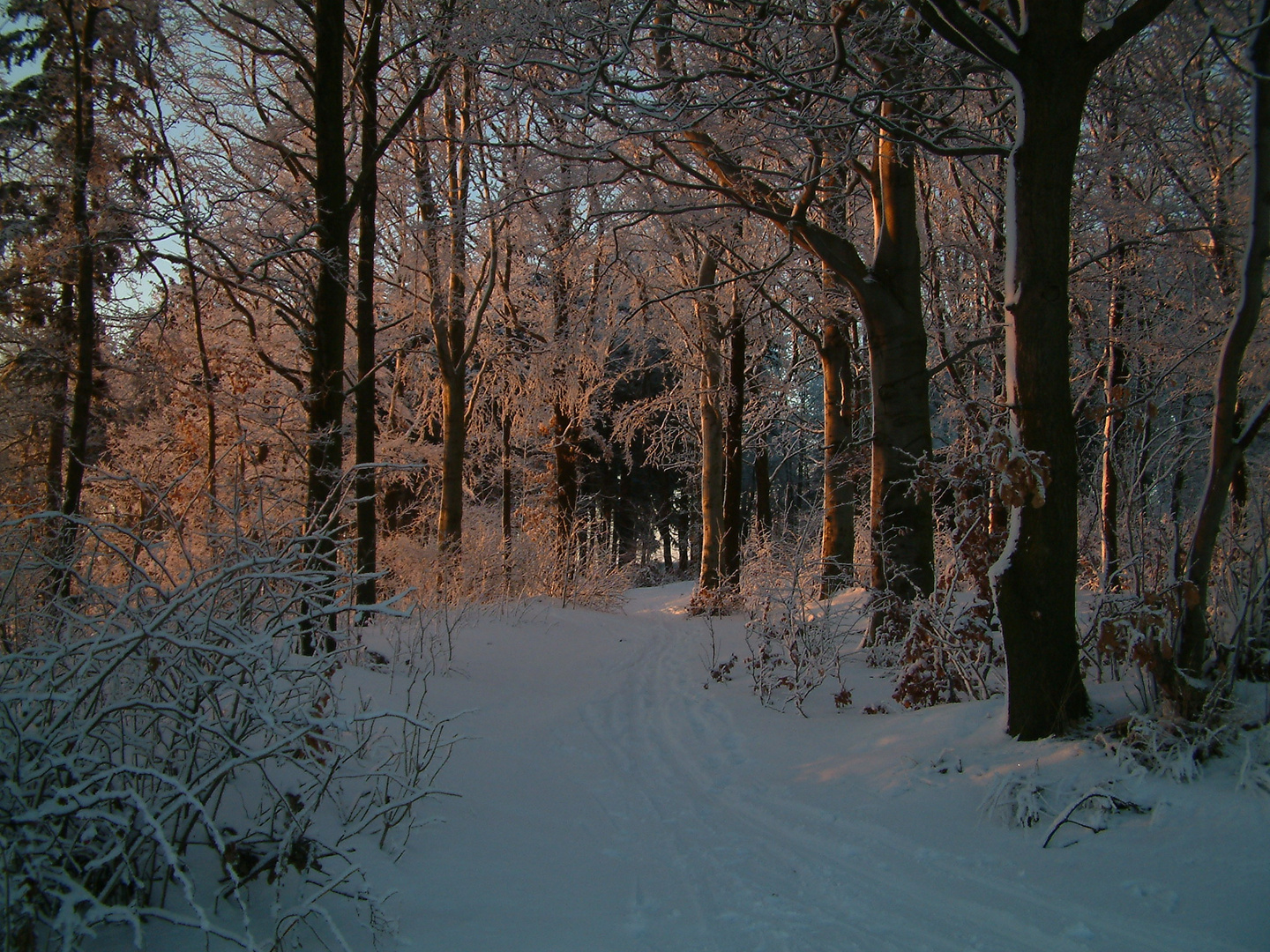 Winter im Erzgebirge/6