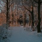Winter im Erzgebirge/6