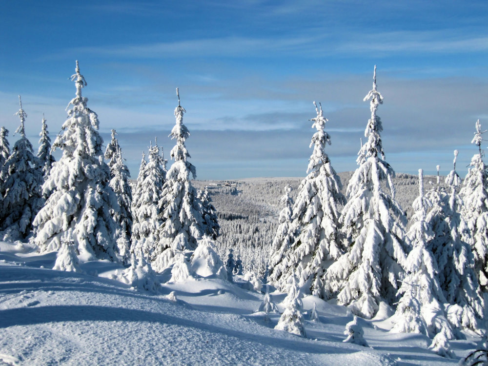 Winter im Ezgebirge