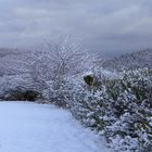 Winter im Februar 2018, an der Landstraße...... 