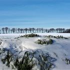 Winter im Februar 2021 in Gelsenkirchen. Ortsteil Resse