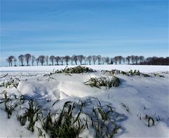 Winter im Februar 2021 in Gelsenkirchen. Ortsteil Resse