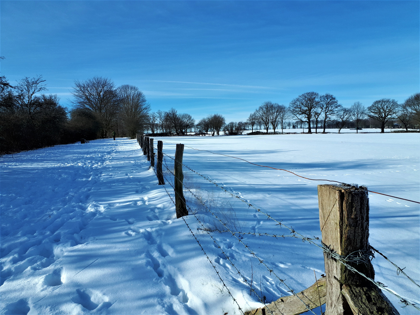 Winter im Februar 2021 in Gelsenkirchen. Ortsteil Resse