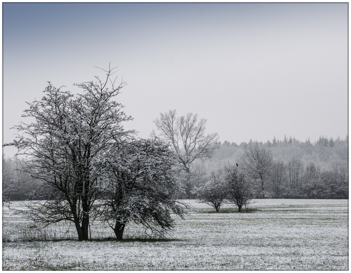 Winter im Februar