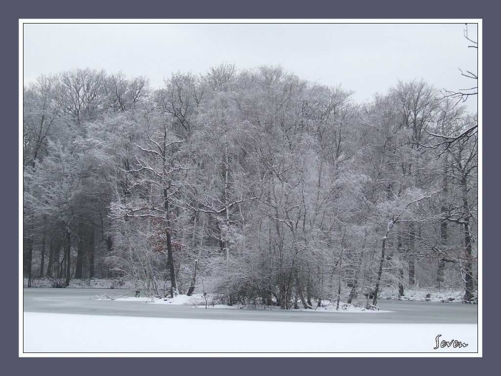 Winter im Feenland