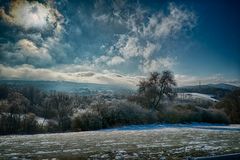 Winter im Feld