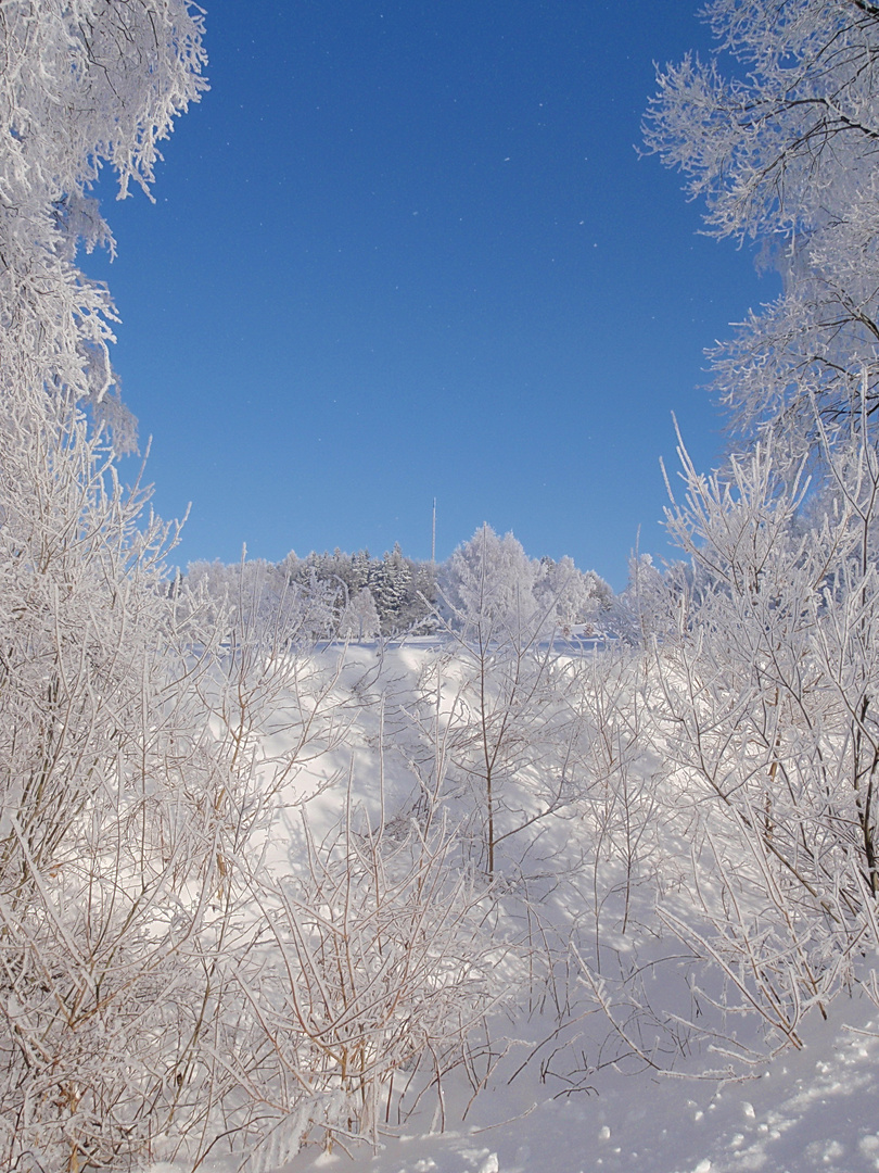 Winter im Fichtelgebirge 2011