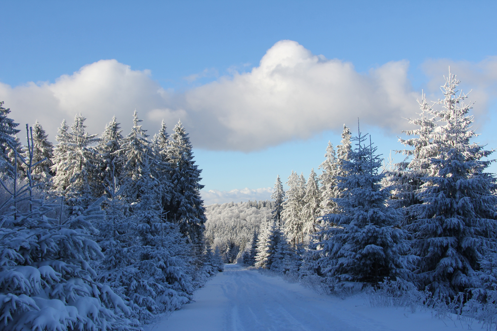 Winter im Fichtelgebirge 2017