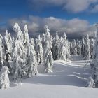 Winter im Fichtelgebirge 2019