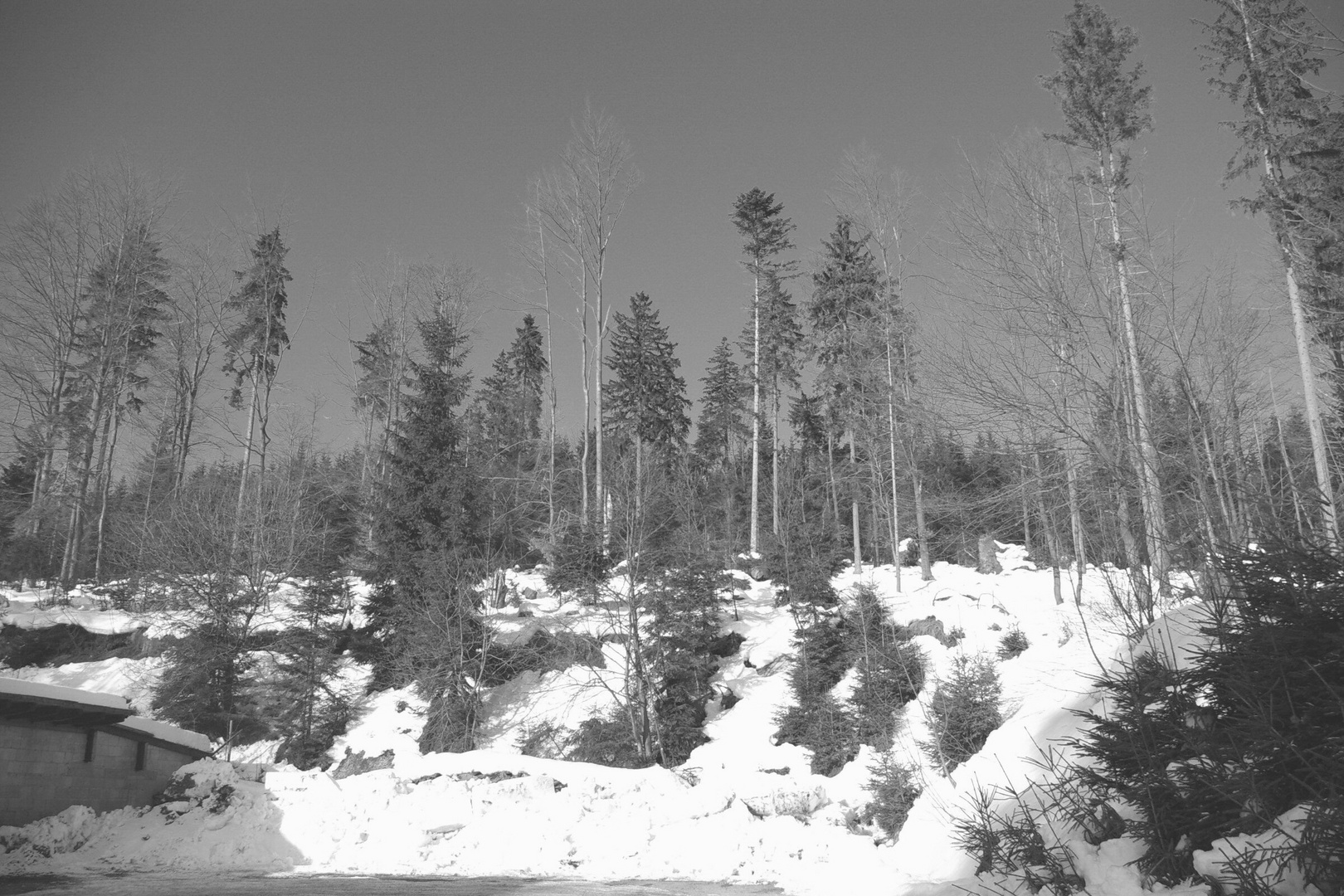 Winter im Fichtelgebirge