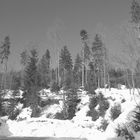 Winter im Fichtelgebirge