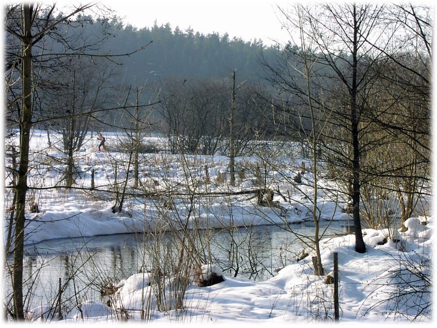 Winter im Fichtelgebirge