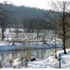 Winter im Fichtelgebirge