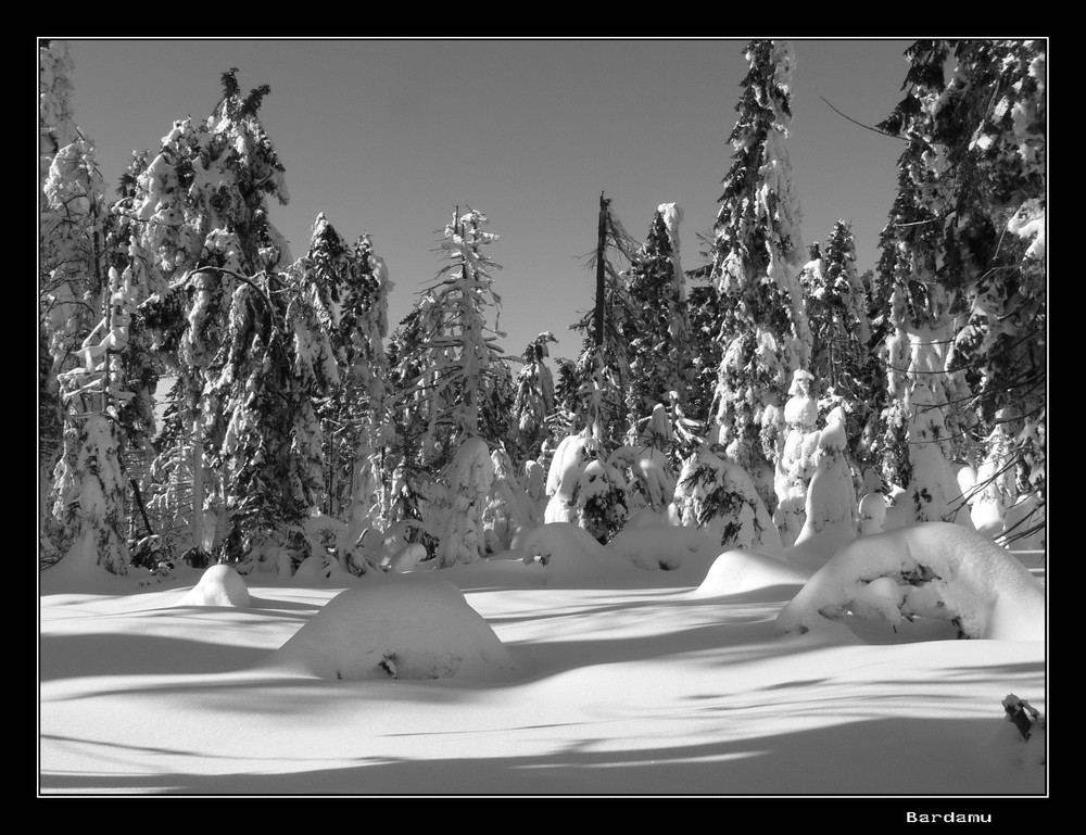 Winter im Fichtelgebirge II