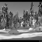 Winter im Fichtelgebirge II