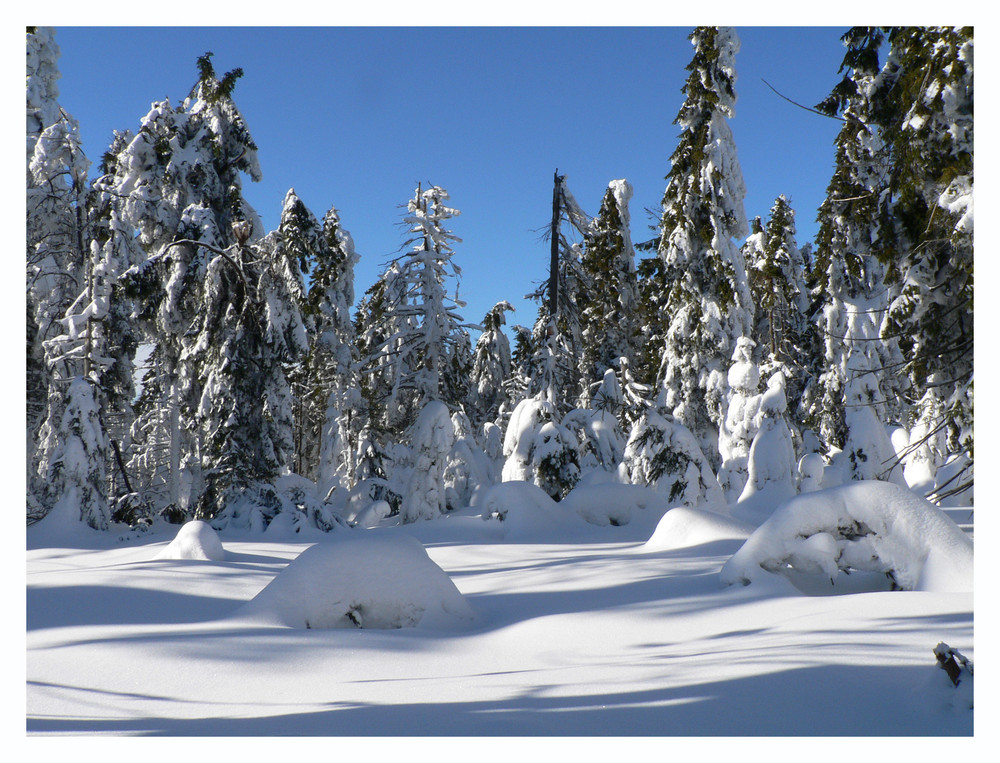 Winter im Fichtelgebirge II (Farbe)