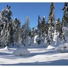 Winter im Fichtelgebirge II (Farbe)