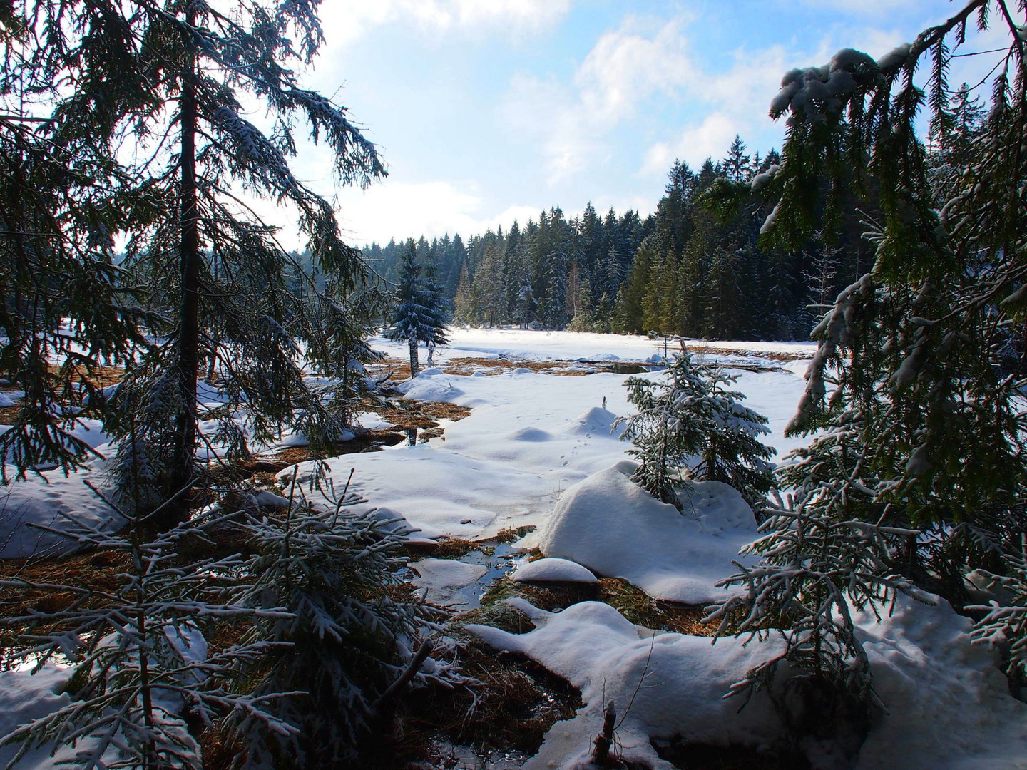 Winter im Fichtelseemoor