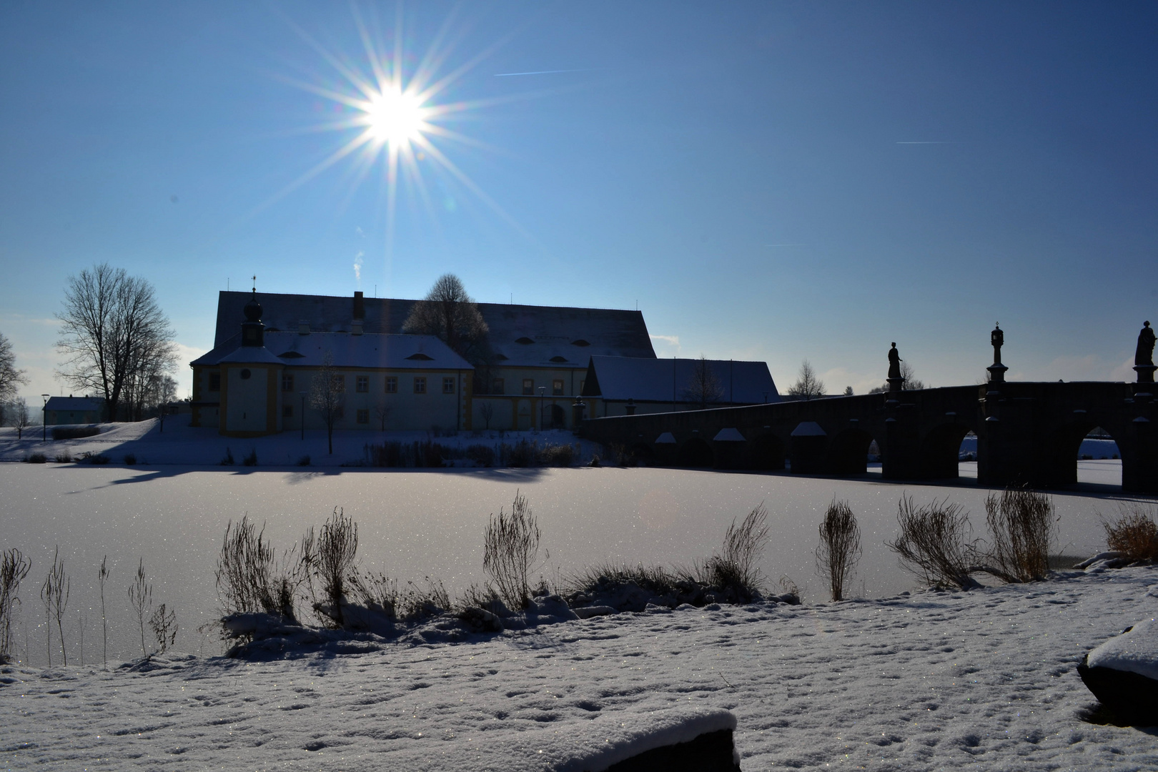 Winter im Fischhofpark - 18. Januar 2016