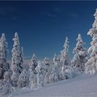 Winter im Fjell