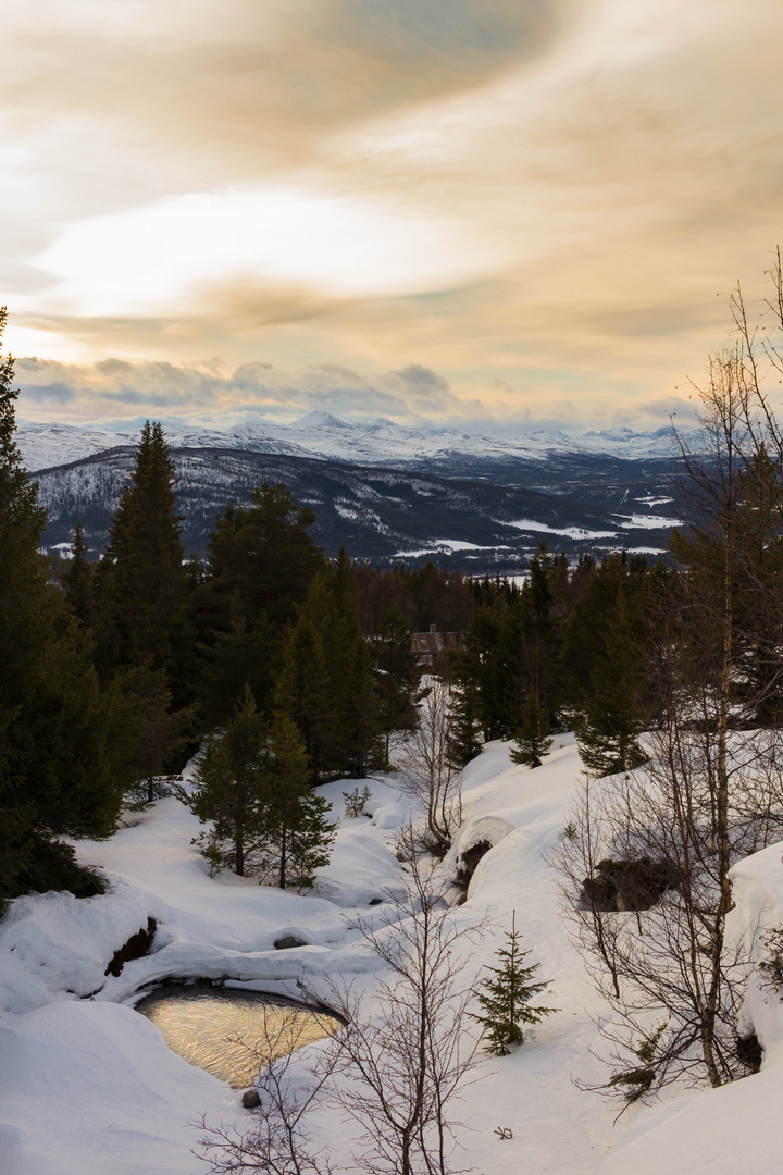 Winter im Fjell III