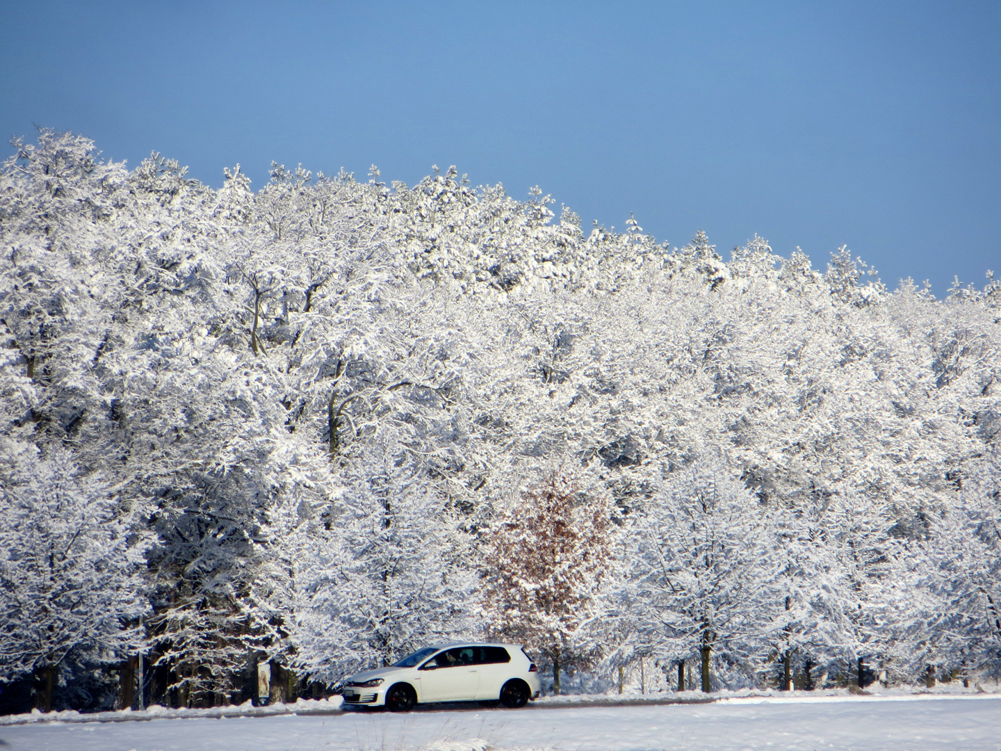 Winter im Flachland