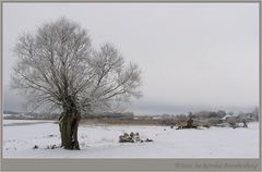 Winter im Flachland ...