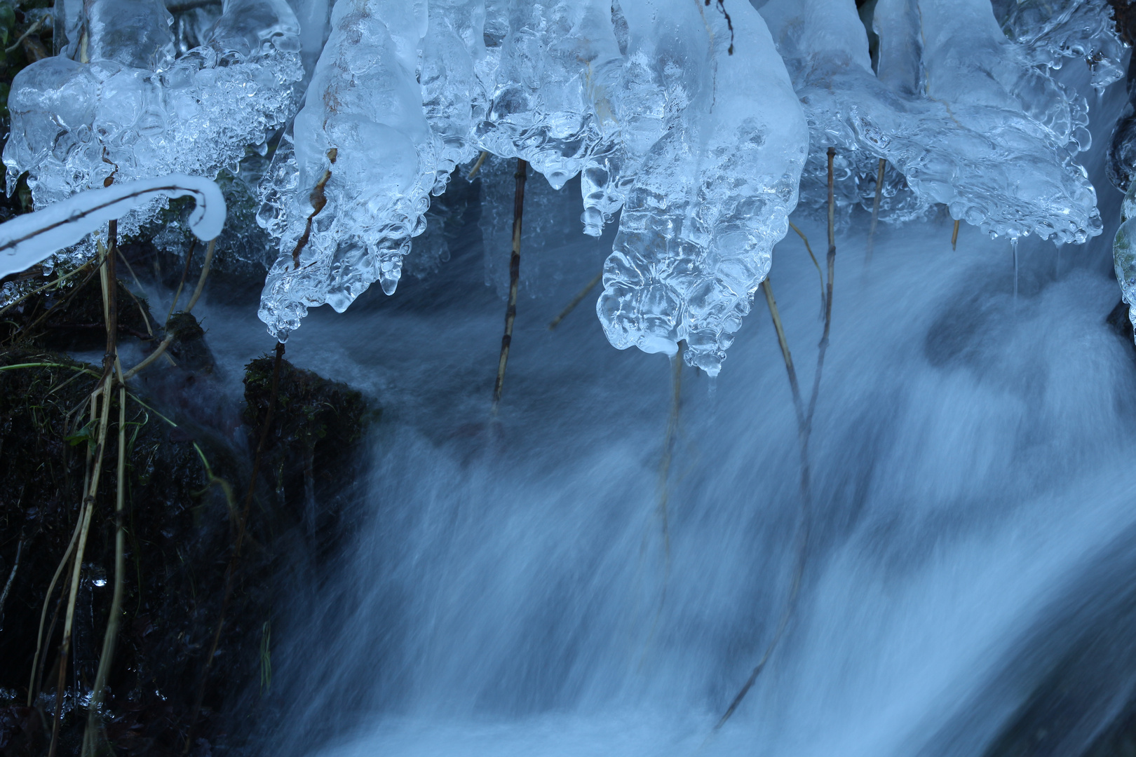 Winter im Fluss