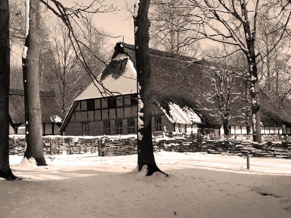 Winter im Freilichtmuseum