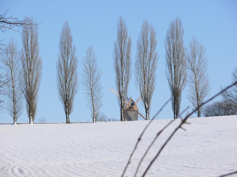 Winter im Freilichtmuseum Detmold