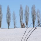 Winter im Freilichtmuseum Detmold