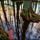 Winter im Froschteich