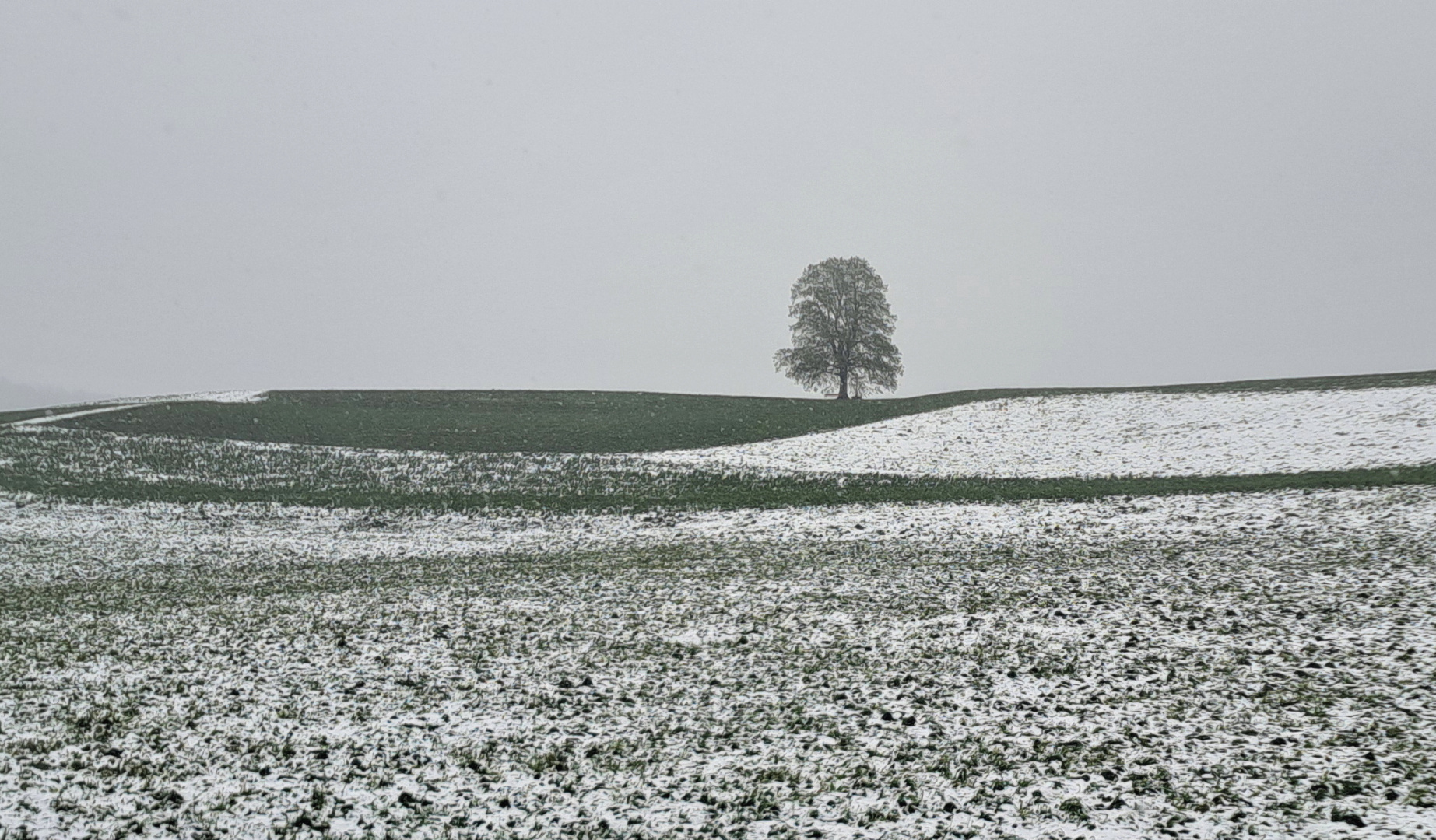 Winter im Frühling