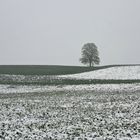 Winter im Frühling