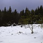 Winter im Frühling - etwas Schnee für den Robert...