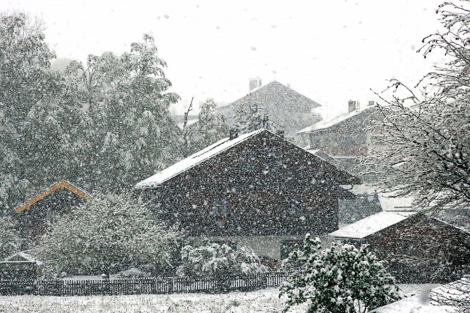 Winter im Frühling