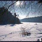 Winter im Gamengrund-2